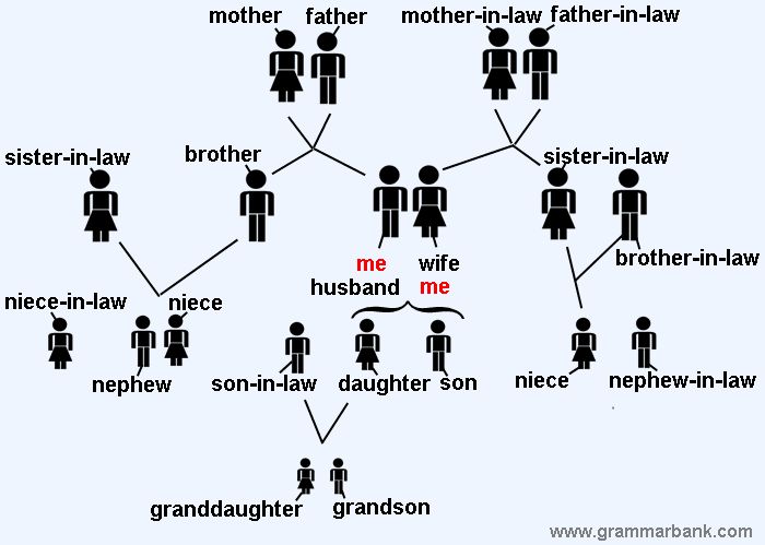 family tree